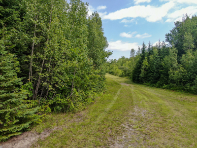 Maine Hunting and Recreational Timberland for Sale - image 3