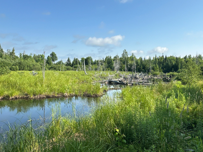 Maine Hunting and Recreational Timberland for Sale - image 24