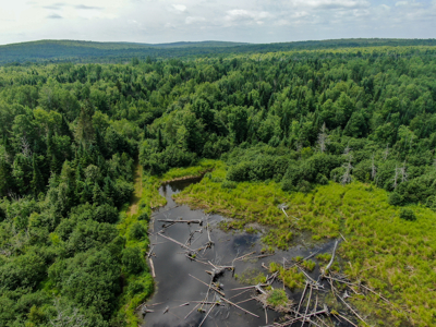 Maine Hunting and Recreational Timberland for Sale - image 8