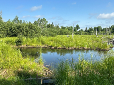 Maine Hunting and Recreational Timberland for Sale - image 26