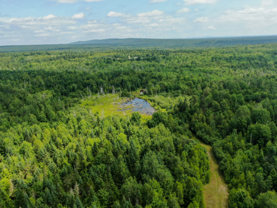 Maine Hunting and Recreational Timberland for Sale - image 7
