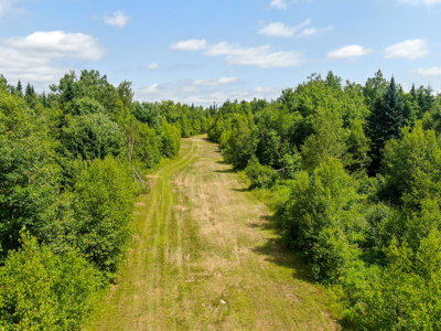 Maine Hunting and Recreational Timberland for Sale - image 4