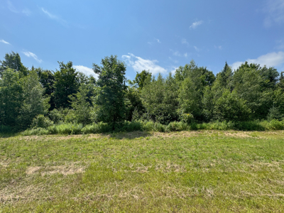 Maine Hunting and Recreational Timberland for Sale - image 12