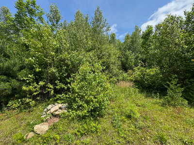 Maine Hunting and Recreational Timberland for Sale - image 13
