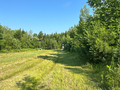Maine Hunting and Recreational Timberland for Sale - image 28