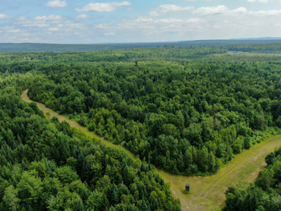 Maine Hunting and Recreational Timberland for Sale - image 2