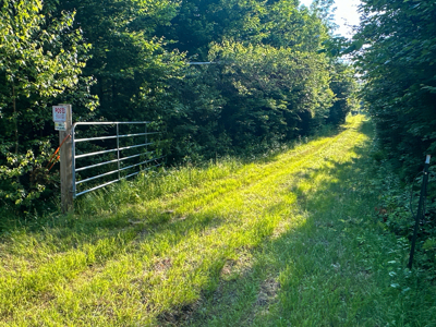 Maine Hunting and Recreational Timberland for Sale - image 34