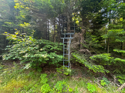 Maine Hunting and Recreational Timberland for Sale - image 27