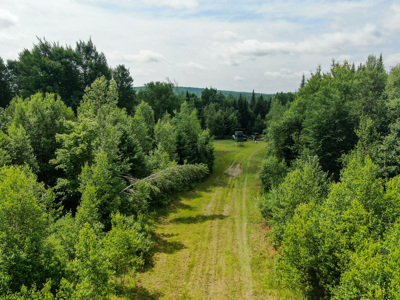 Maine Hunting and Recreational Timberland for Sale - image 5
