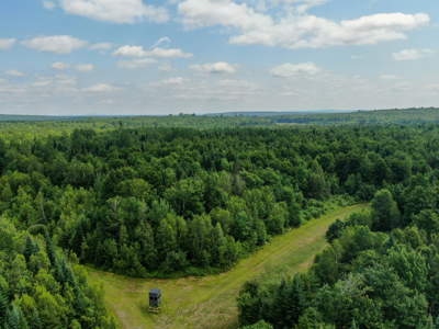 Maine Hunting and Recreational Timberland for Sale - image 1