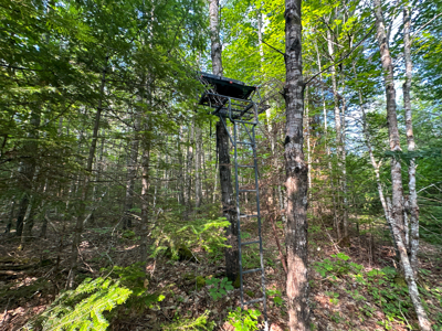 Maine Hunting and Recreational Timberland for Sale - image 22