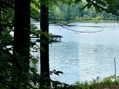 Lake Dixie Springs Lakefront Lot for Sale in Pike County - image 2