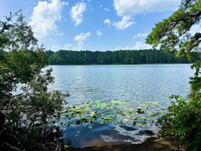 Lake Dixie Springs Lakefront Lot for Sale in Pike County - image 1