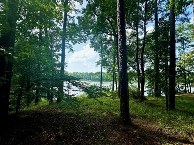 Lake Dixie Springs Lakefront Lot for Sale in Pike County - image 5