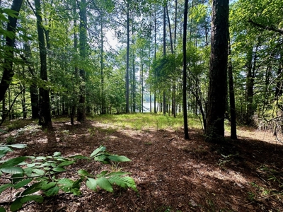 Lake Dixie Springs Lakefront Lot for Sale in Pike County - image 3