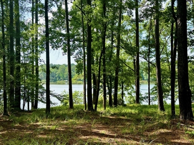 Lake Dixie Springs Lakefront Lot for Sale in Pike County - image 4