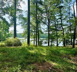 Lake Dixie Springs Lakefront Lot for Sale in Pike County - image 9