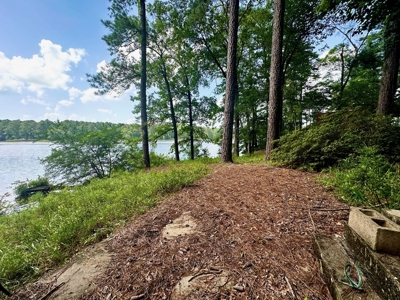 Lake Dixie Springs Lakefront Lot for Sale in Pike County - image 6