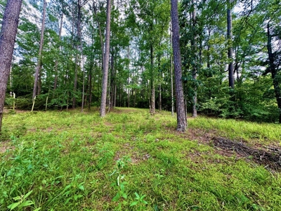 Lake Dixie Springs Lakefront Lot for Sale in Pike County - image 8