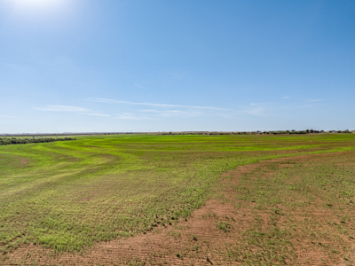 Texas Commercial Investment Opportunity 228± Acres - image 1