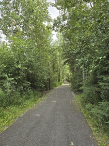 Beautiful Home for Sale in Eagle River, Alaska - image 28
