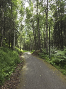 Beautiful Home for Sale in Eagle River, Alaska - image 27