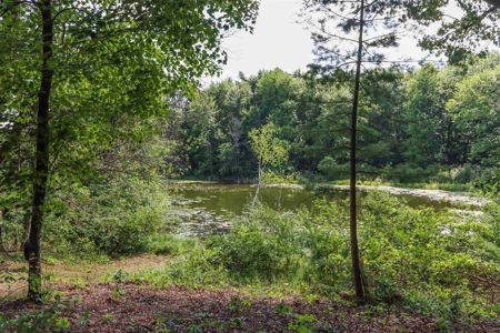 Country Home For Sale on McAllister Lake in Waupaca WI - image 45