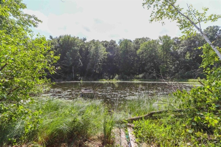 Country Home For Sale on McAllister Lake in Waupaca WI - image 47
