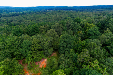 30 ACRE FARM FOR SALE IN RiPLEY COUNTY, MO W/ ADDITIONAL ACREAGE - image 17