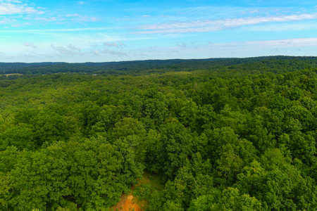 30 ACRE FARM FOR SALE IN RiPLEY COUNTY, MO W/ ADDITIONAL ACREAGE - image 14