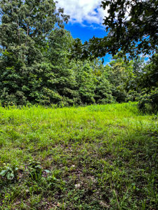 30 ACRE FARM FOR SALE IN RiPLEY COUNTY, MO W/ ADDITIONAL ACREAGE - image 9