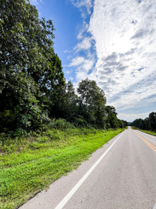 30 ACRE FARM FOR SALE IN RiPLEY COUNTY, MO W/ ADDITIONAL ACREAGE - image 12