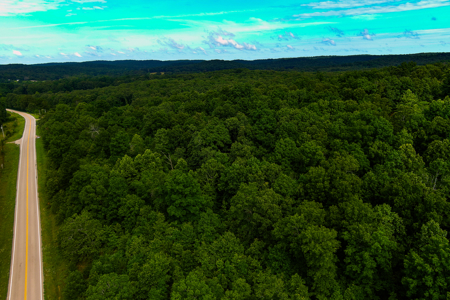 30 ACRE FARM FOR SALE IN RiPLEY COUNTY, MO W/ ADDITIONAL ACREAGE - image 19