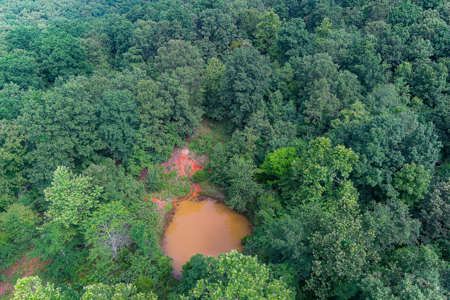 30 ACRE FARM FOR SALE IN RiPLEY COUNTY, MO W/ ADDITIONAL ACREAGE - image 2
