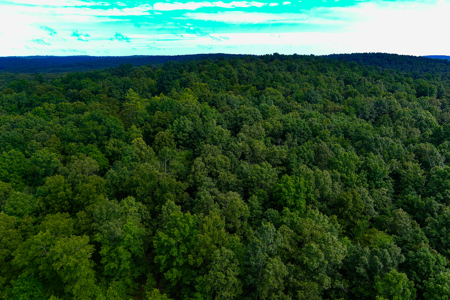 30 ACRE FARM FOR SALE IN RiPLEY COUNTY, MO W/ ADDITIONAL ACREAGE - image 20