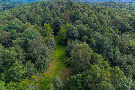 30 ACRE FARM FOR SALE IN RiPLEY COUNTY, MO W/ ADDITIONAL ACREAGE - image 15