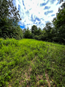 30 ACRE FARM FOR SALE IN RiPLEY COUNTY, MO W/ ADDITIONAL ACREAGE - image 7