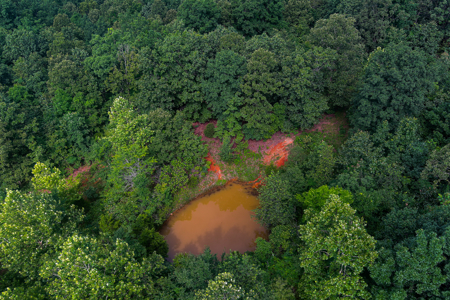 30 ACRE FARM FOR SALE IN RiPLEY COUNTY, MO W/ ADDITIONAL ACREAGE - image 16