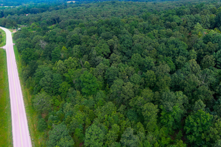 30 ACRE FARM FOR SALE IN RiPLEY COUNTY, MO W/ ADDITIONAL ACREAGE - image 18
