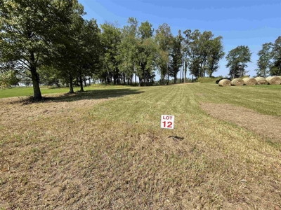 River Front Land For Sale In Tennessee - image 10