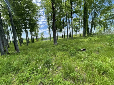 River Front Land For Sale In Tennessee - image 8