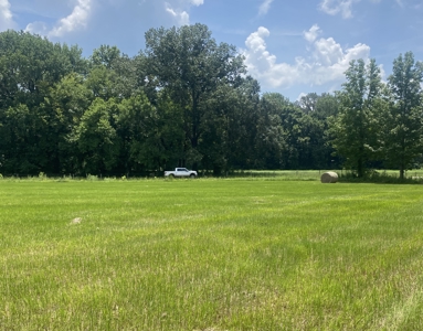 River Front Land For Sale In Tennessee - image 5