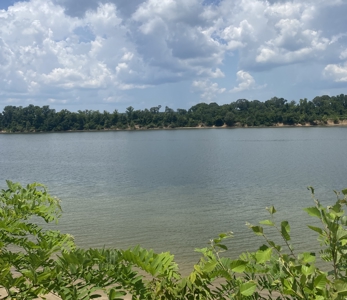 River Front Land For Sale In Tennessee - image 4
