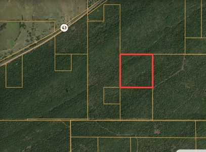 Hunting land for sale in Southeastern OKlahoma, Atoka County - image 1