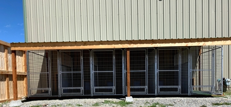 Thriving Pet Care Business in Paradise Valley Montana - image 6