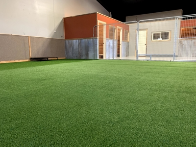Thriving Pet Care Business in Paradise Valley Montana - image 5