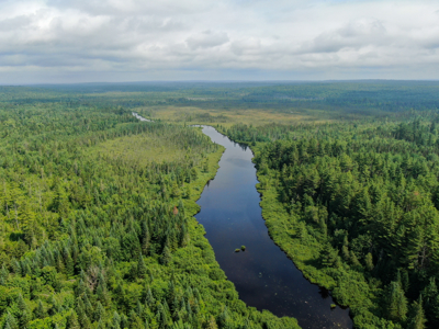 Remote Maine Hunting Camp with Stream Frontage - image 3