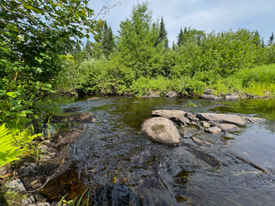 Remote Maine Hunting Camp with Stream Frontage - image 16