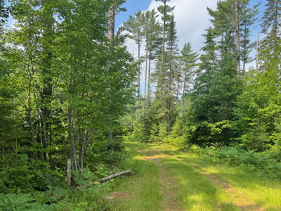 Remote Maine Hunting Camp with Stream Frontage - image 19