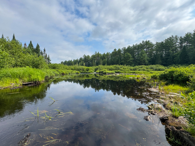 Remote Maine Hunting Camp with Stream Frontage - image 15